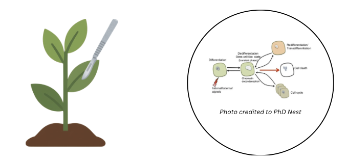 A graphical explaination of my background