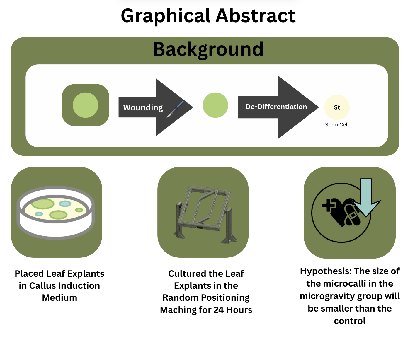 A graphical abstract describing my work in the STEM Fair Project