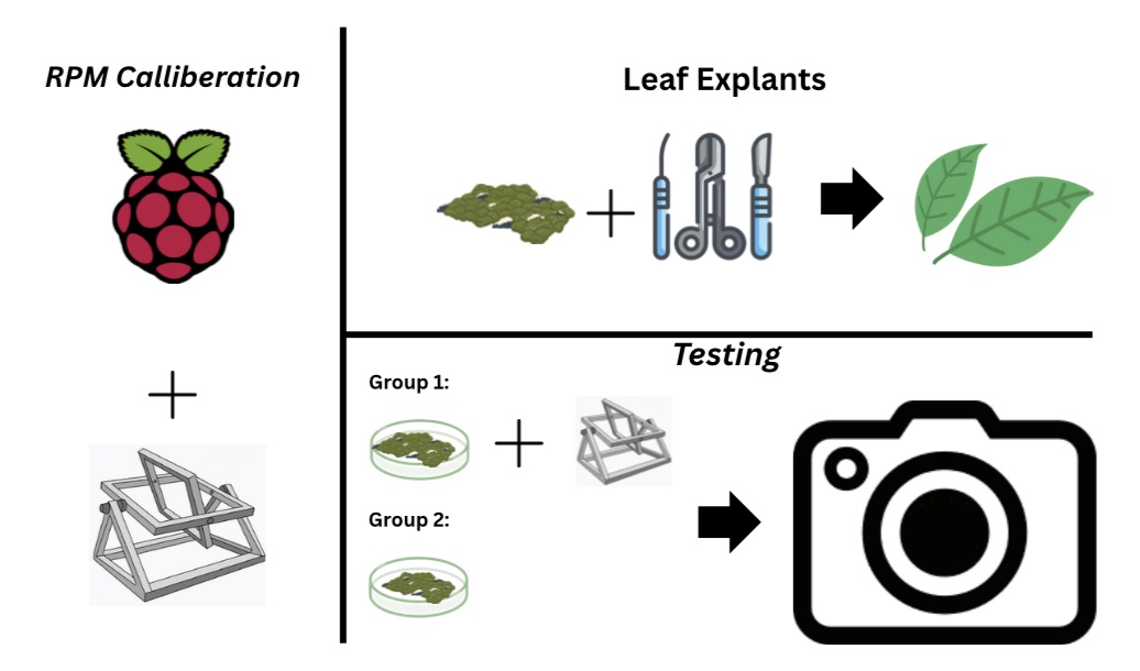 A graphical explaination of my methadology