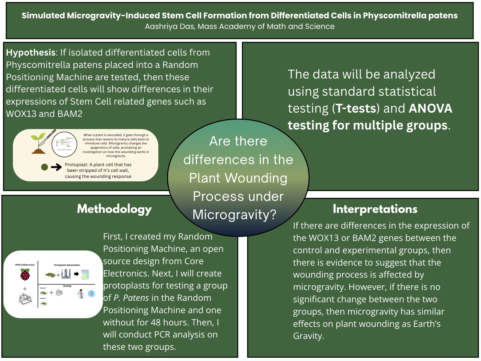 A short summary graphic of my Independent Research Project.'