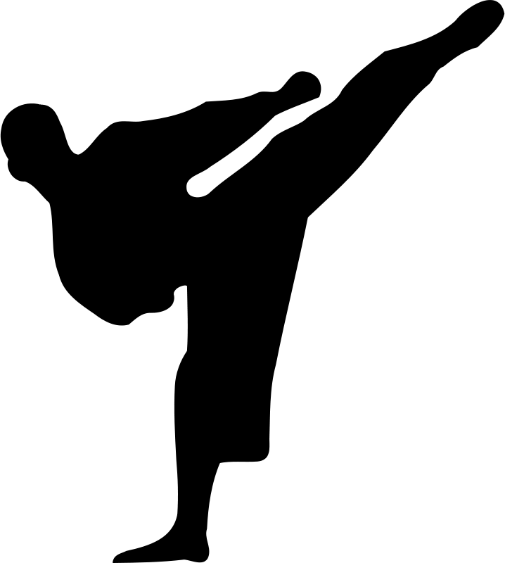karate image
