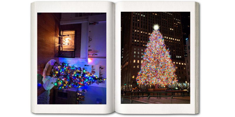 Page 3: photos of Christmas trees