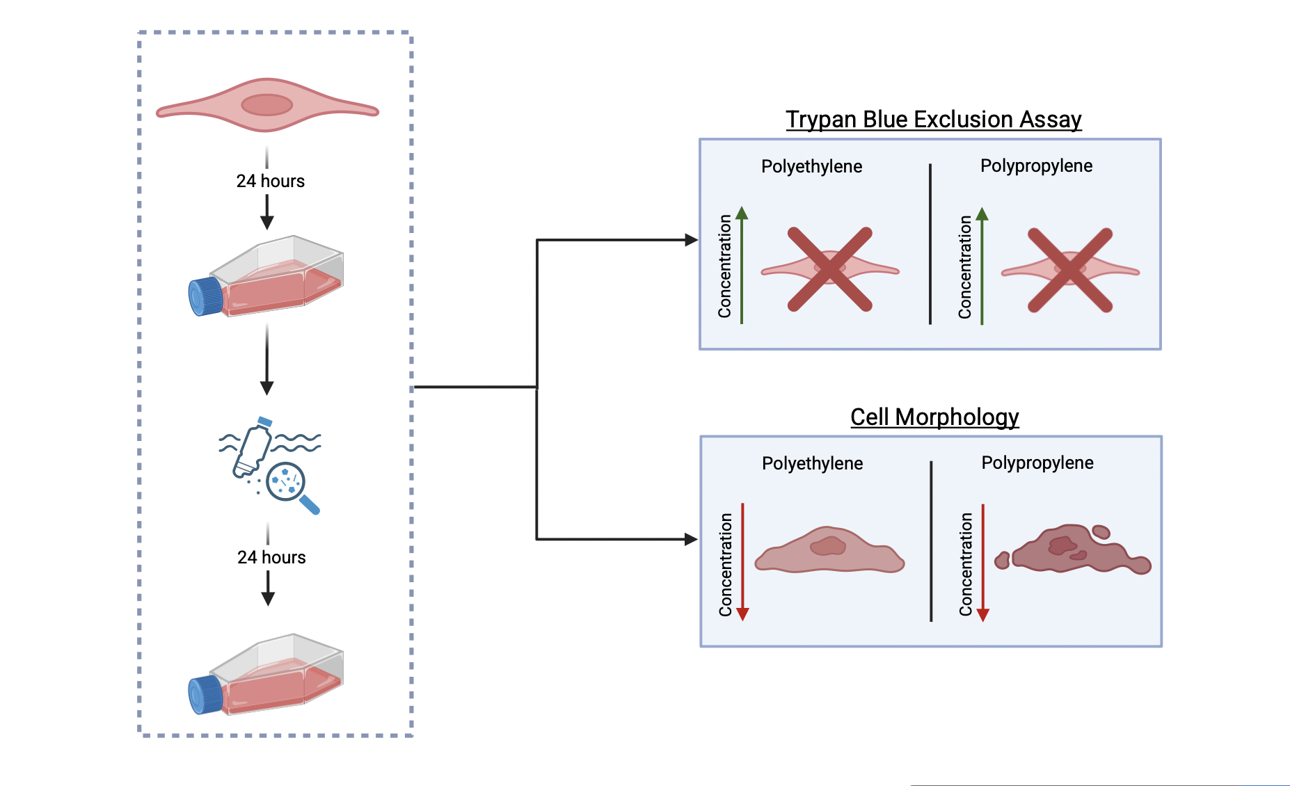 Graphical Abstract