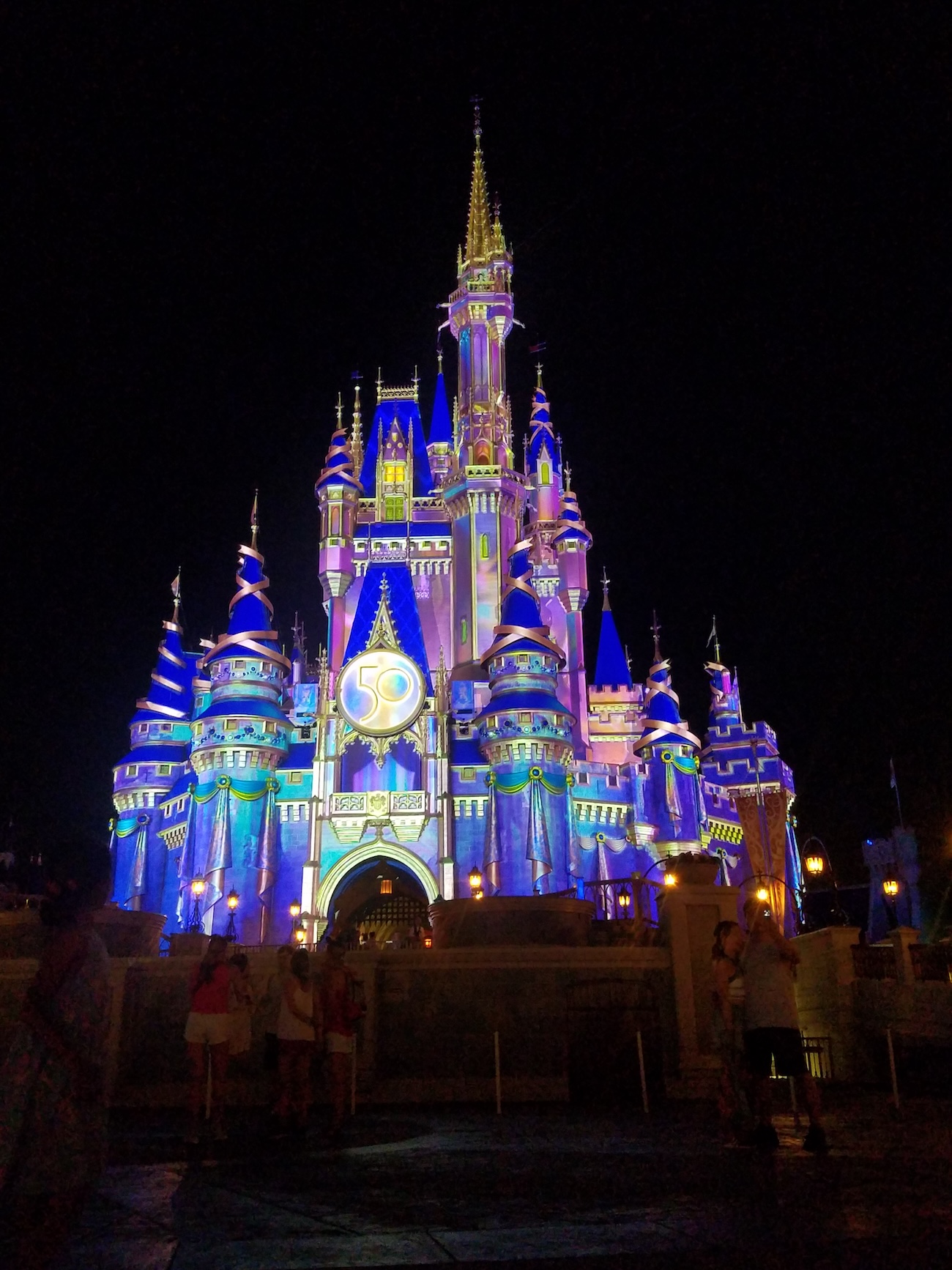 Disney Castle