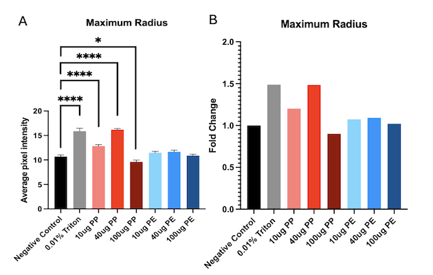 Maximum Radius of Cells Graph