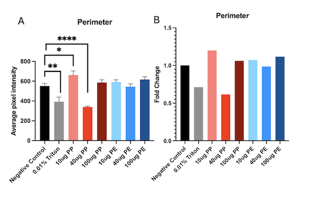 Perimeter of Cells Graph