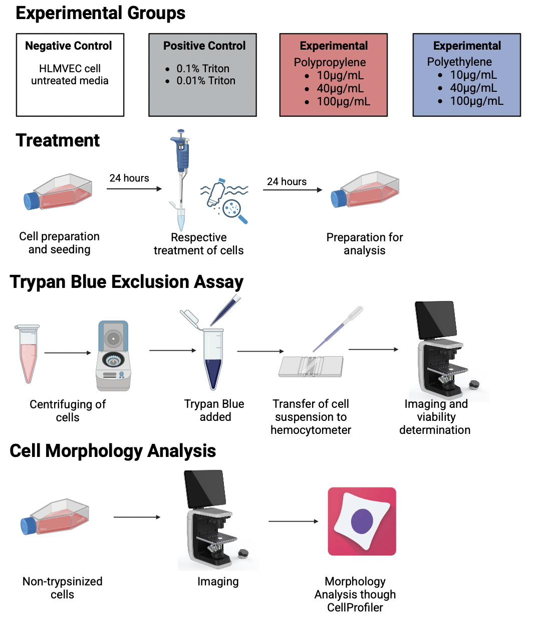 Graphical Procedure