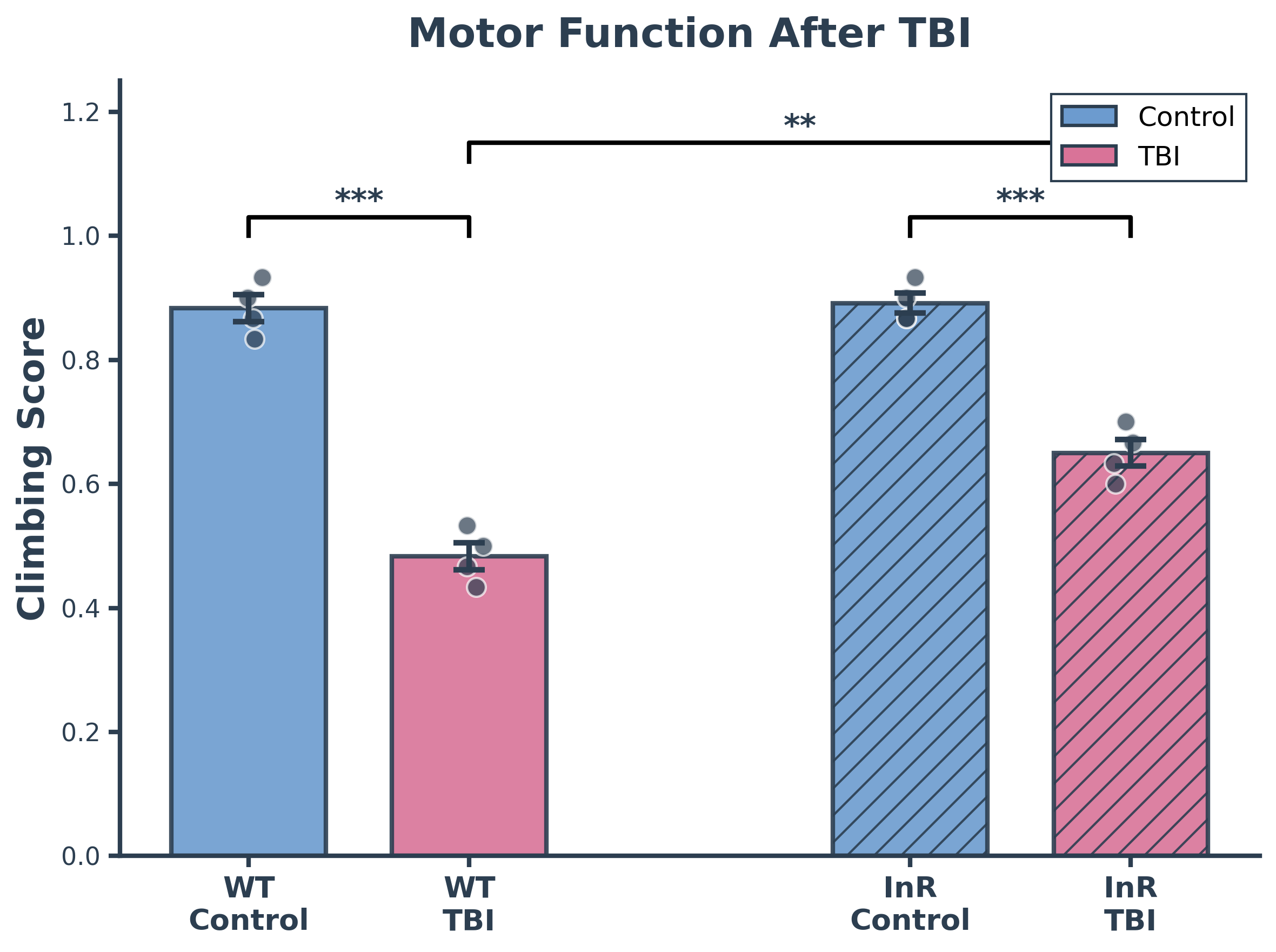 Motor Function