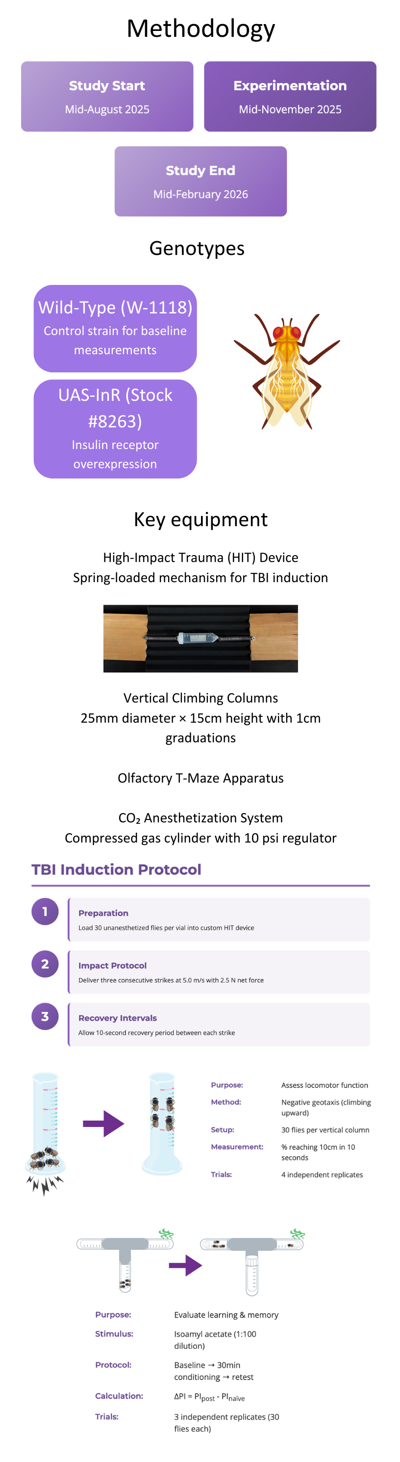 Background Infographic
