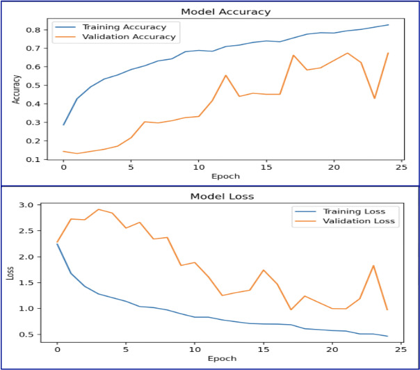 Model Accuracy and Loss