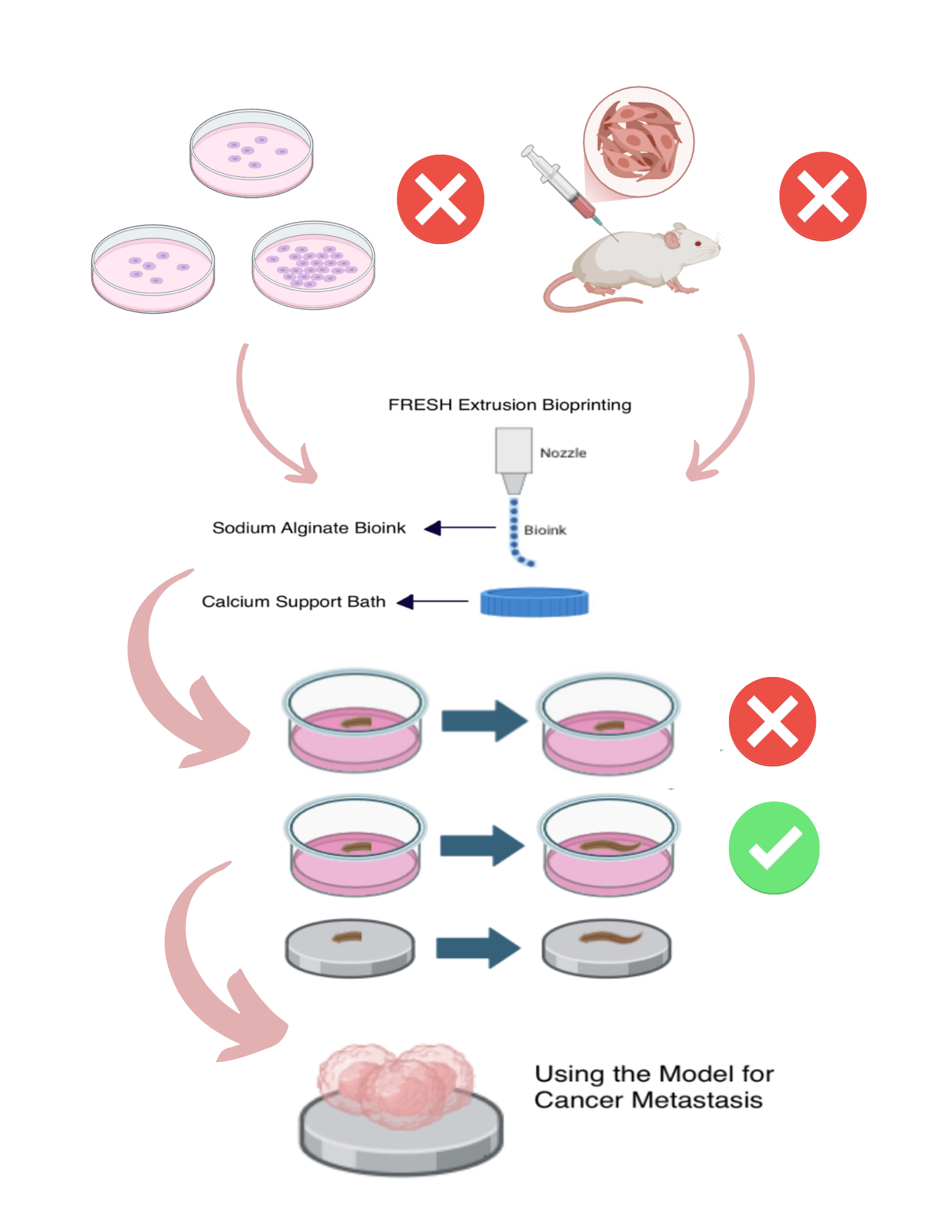 A picture of my graphical abstract.