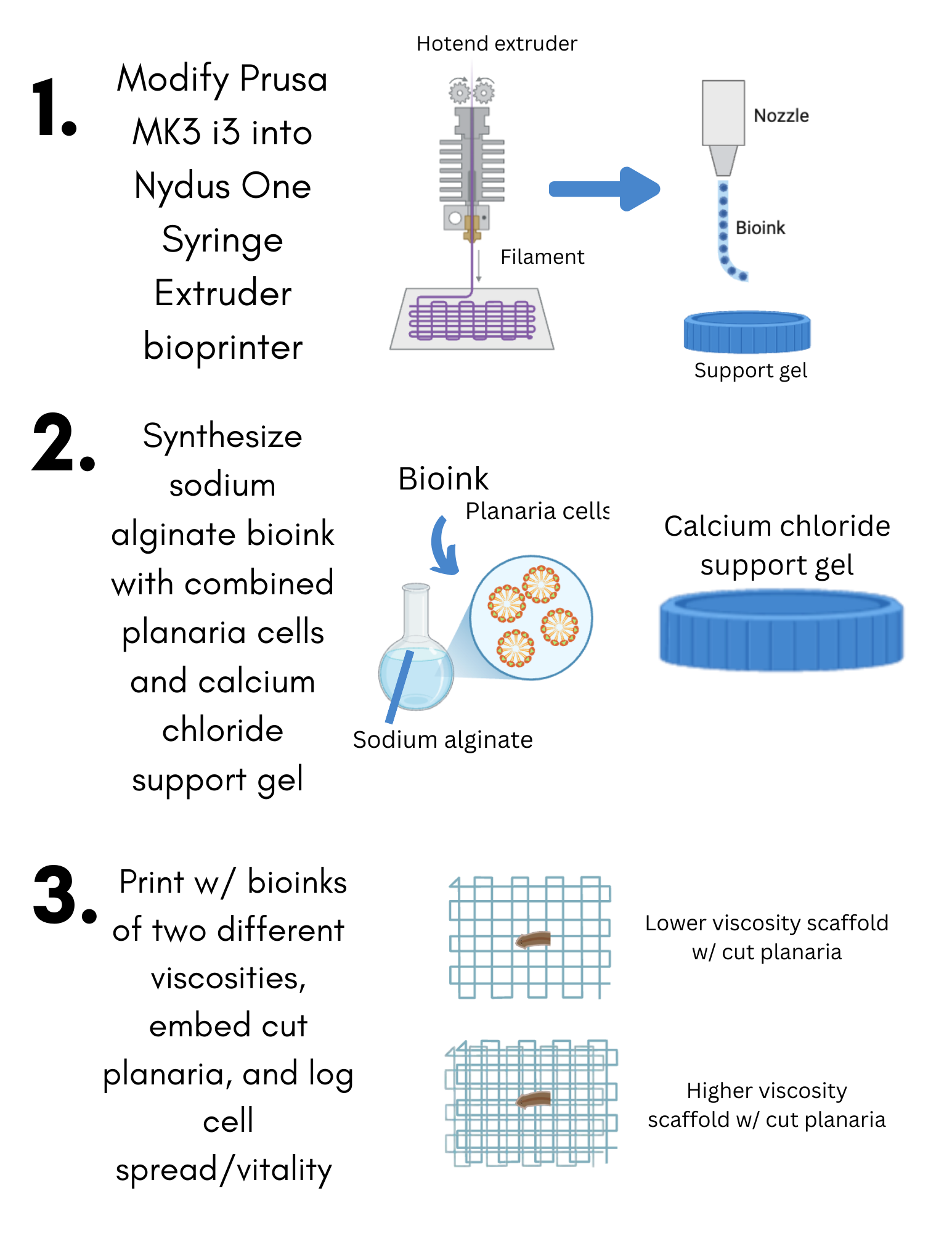 An infographic of my procedure.