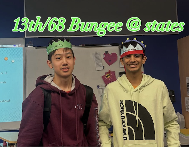 bungee