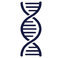dna