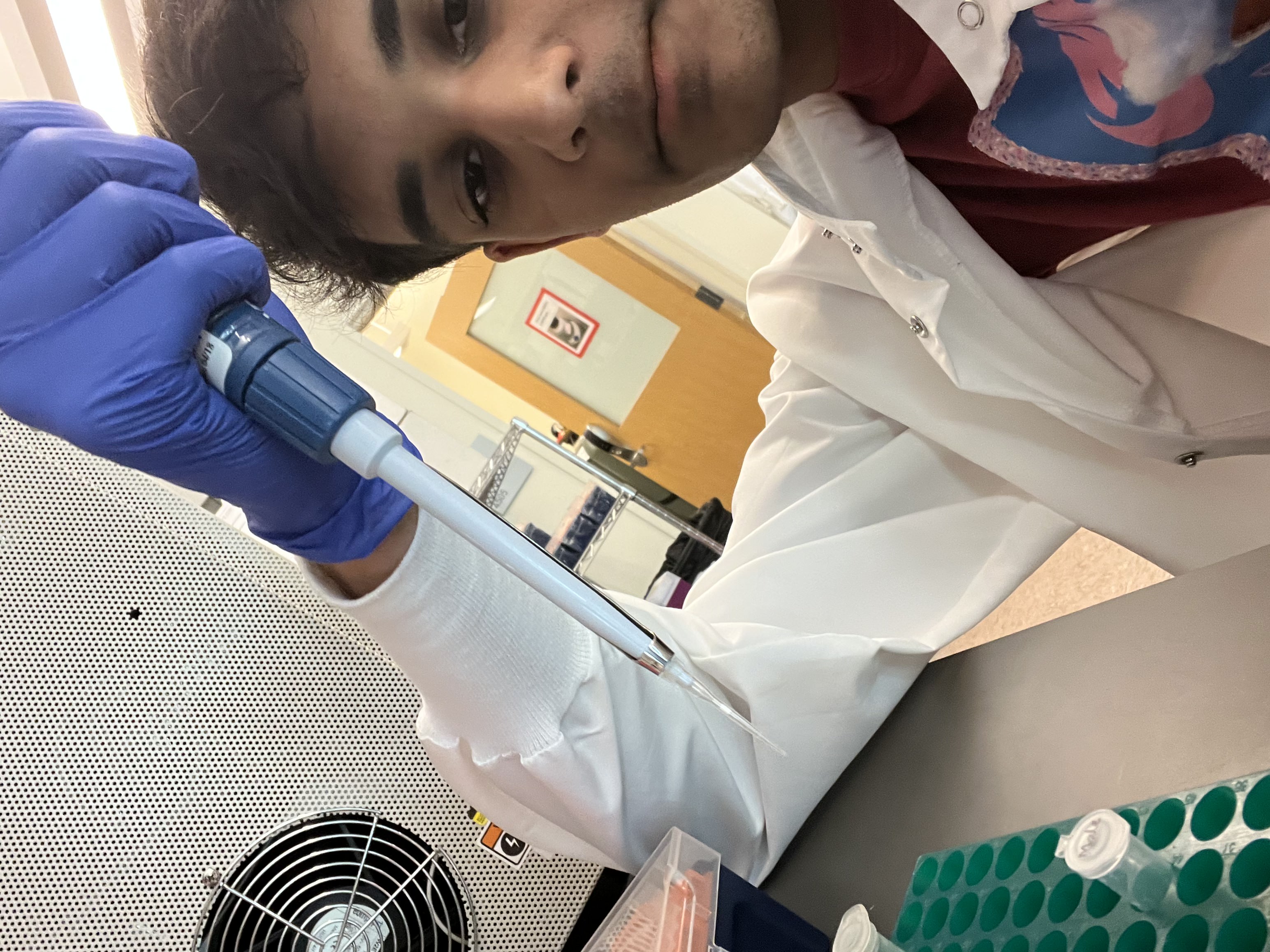 wet-lab
