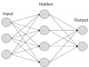 Neural Network