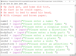 Python Mad Libs