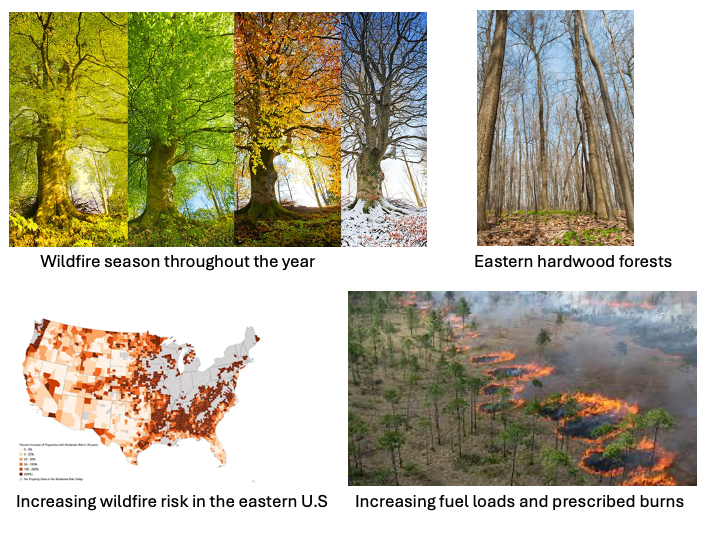 Background infographic