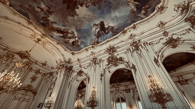 A picture I took of the ceiling in the Schönbrunn Palace of Vienna