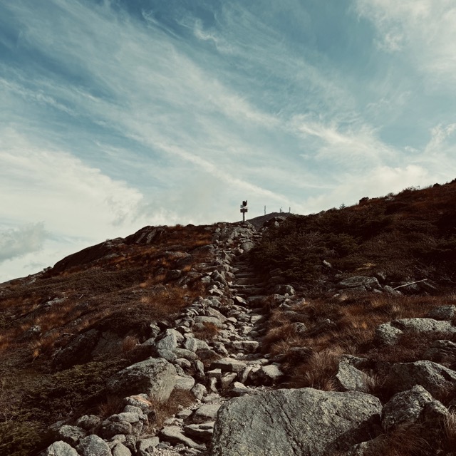 A picture I took of the trail on Mount Washington