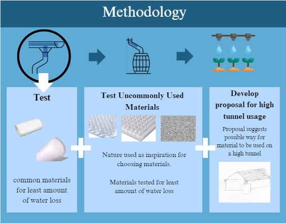 Procedure Infographic