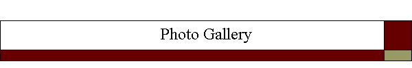 Photo Gallery