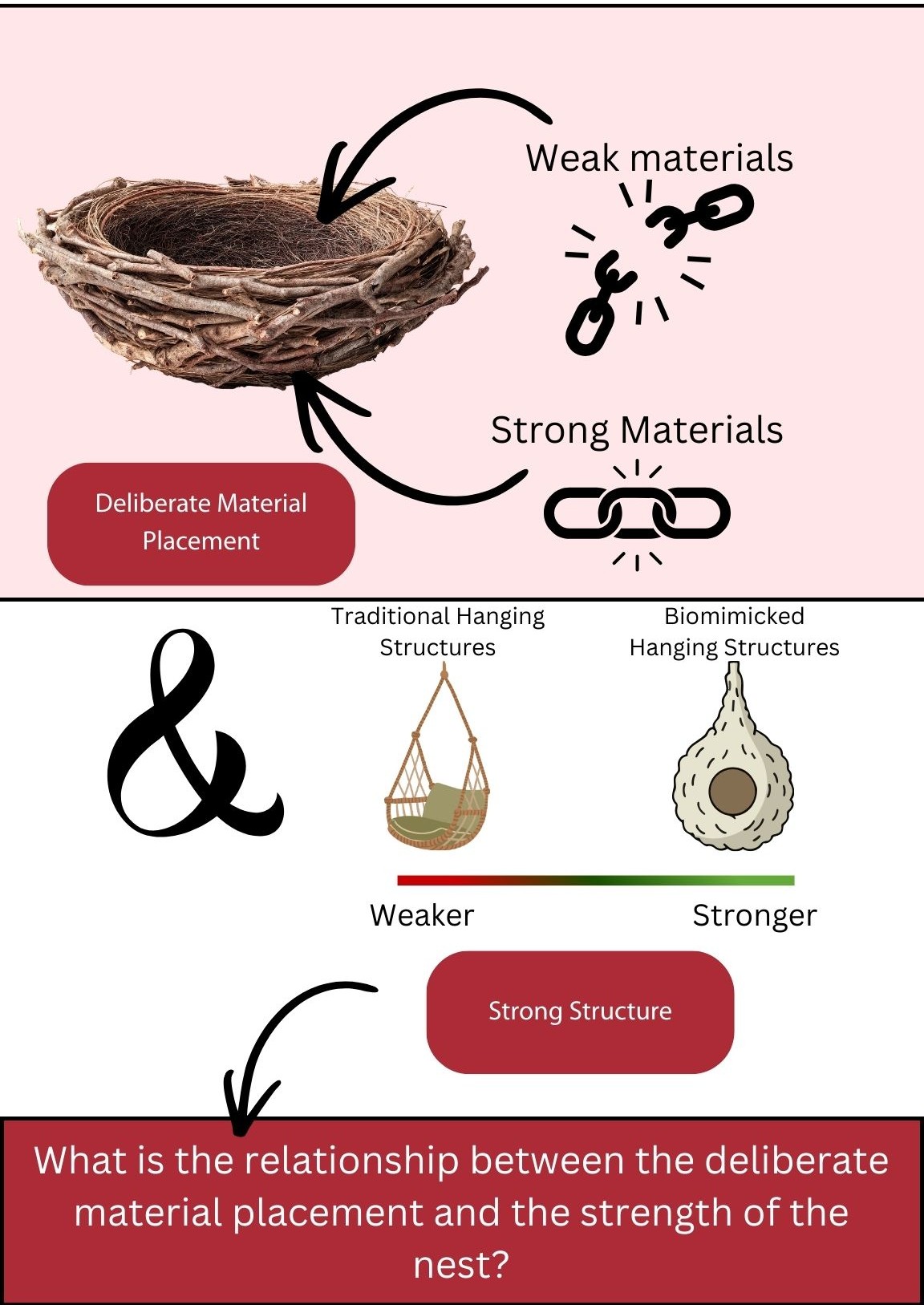 Background Infographic CReed