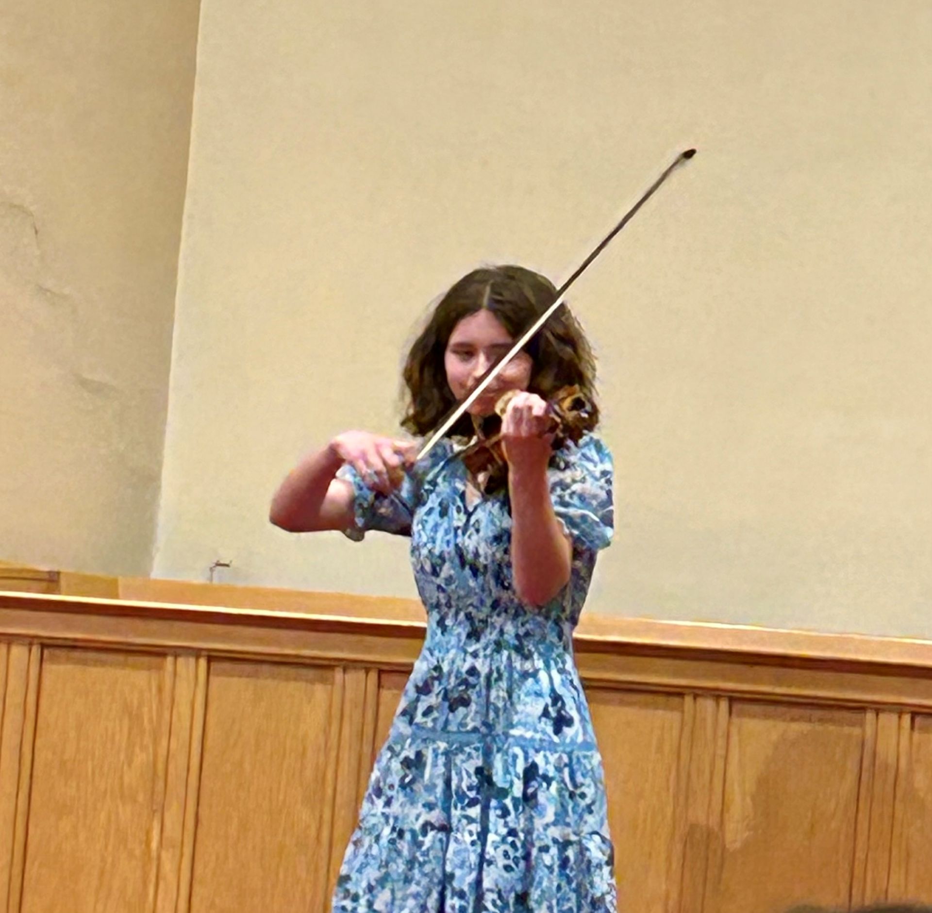 Violin
