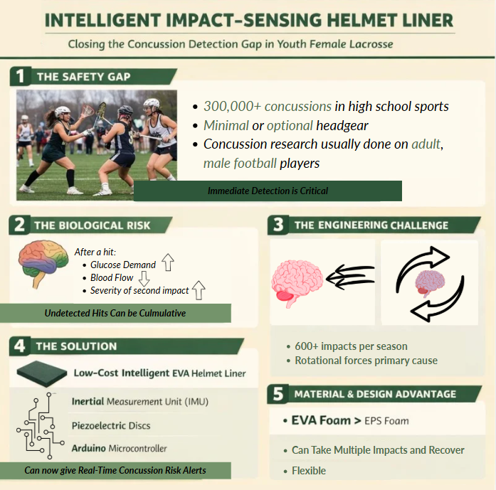 Background Infographic for STEM Project