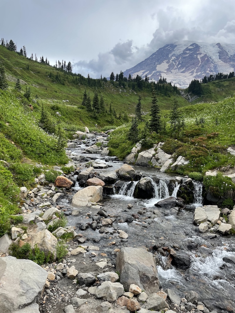 Mount Rainier