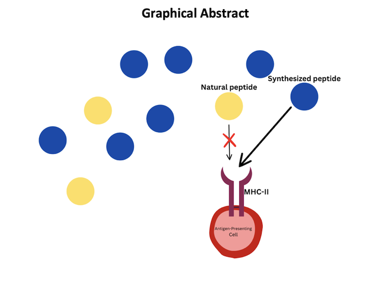 Graphical abstract