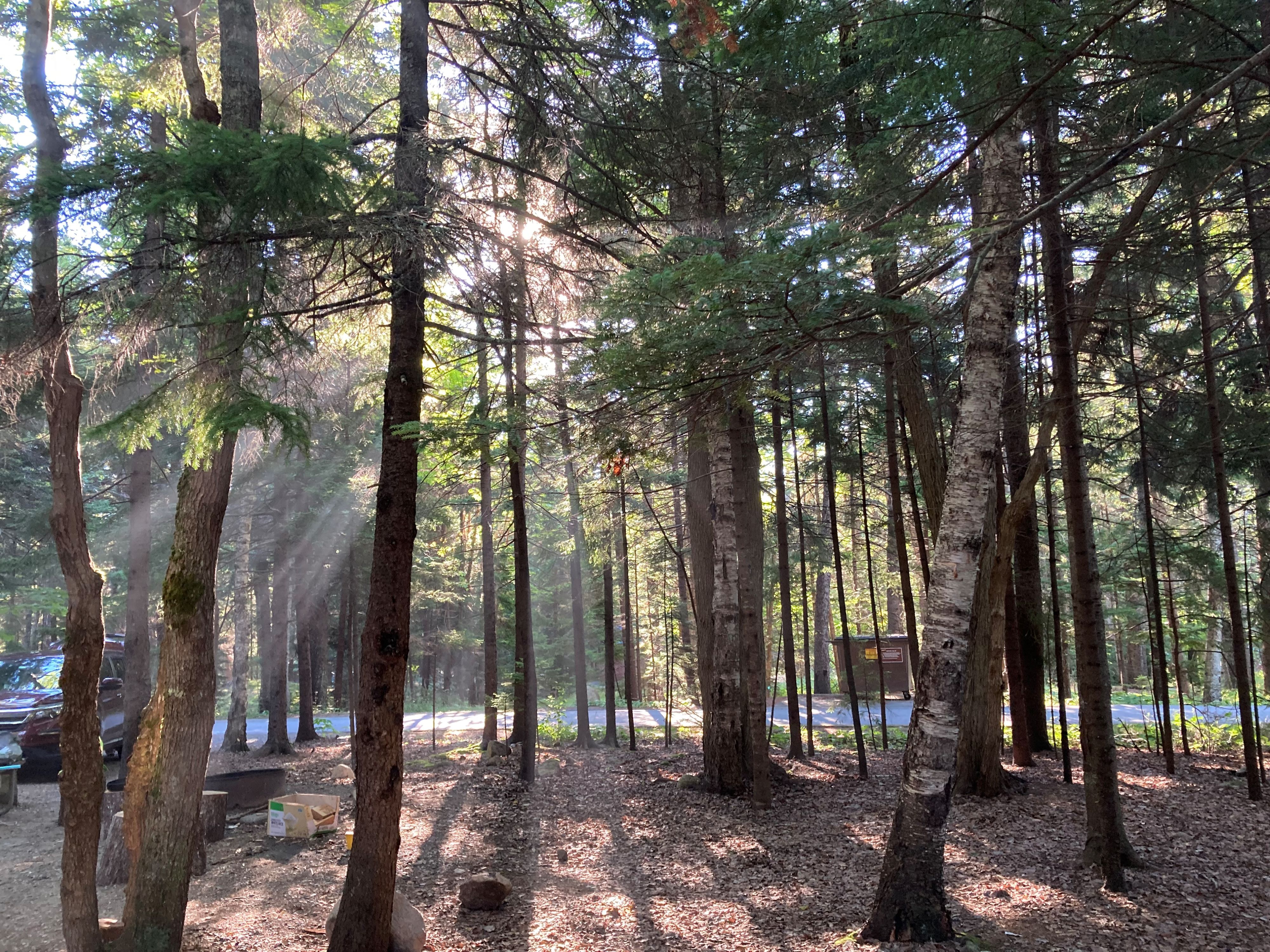 Campsite at Acadia