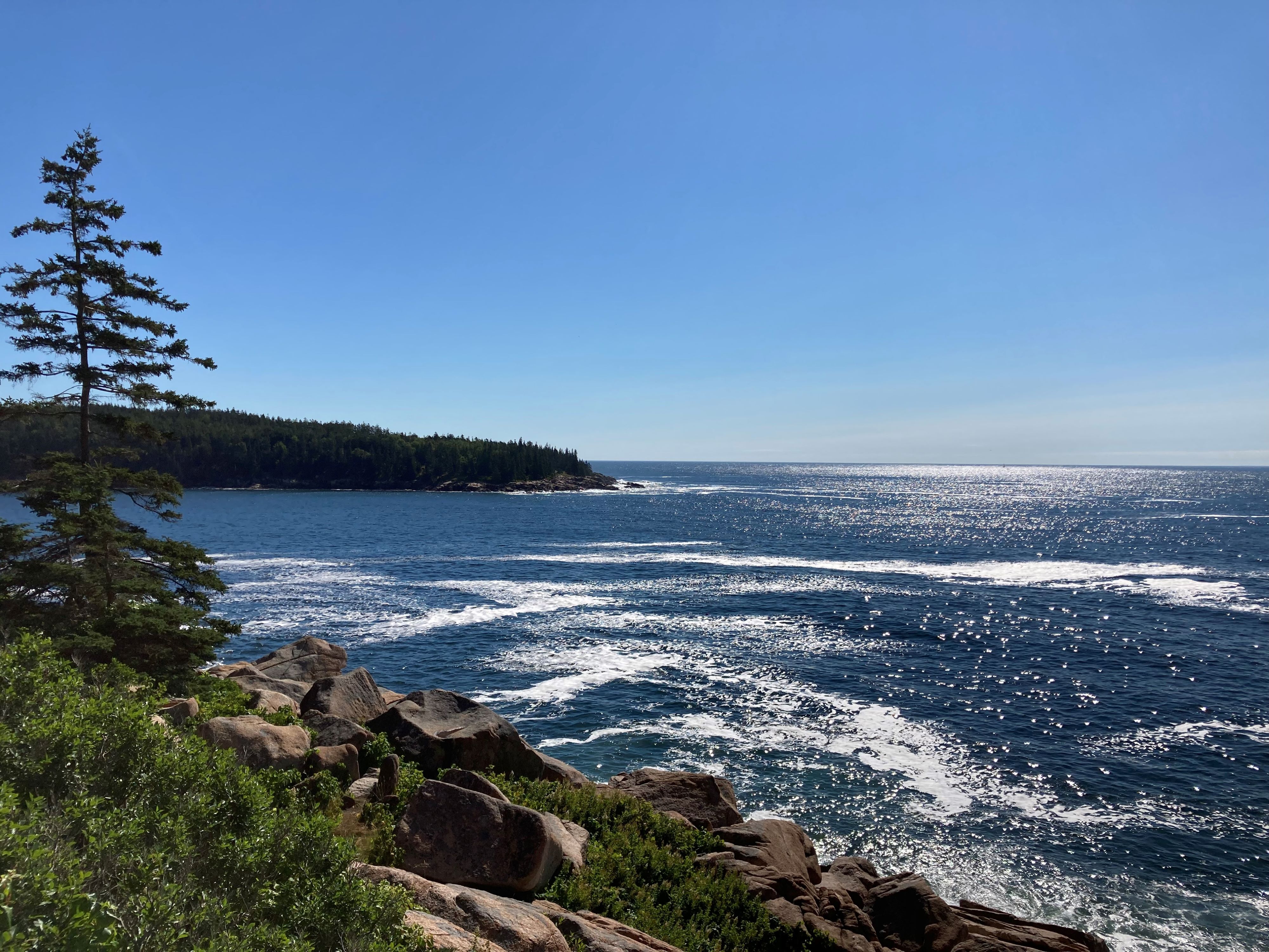 Shores of Acadia