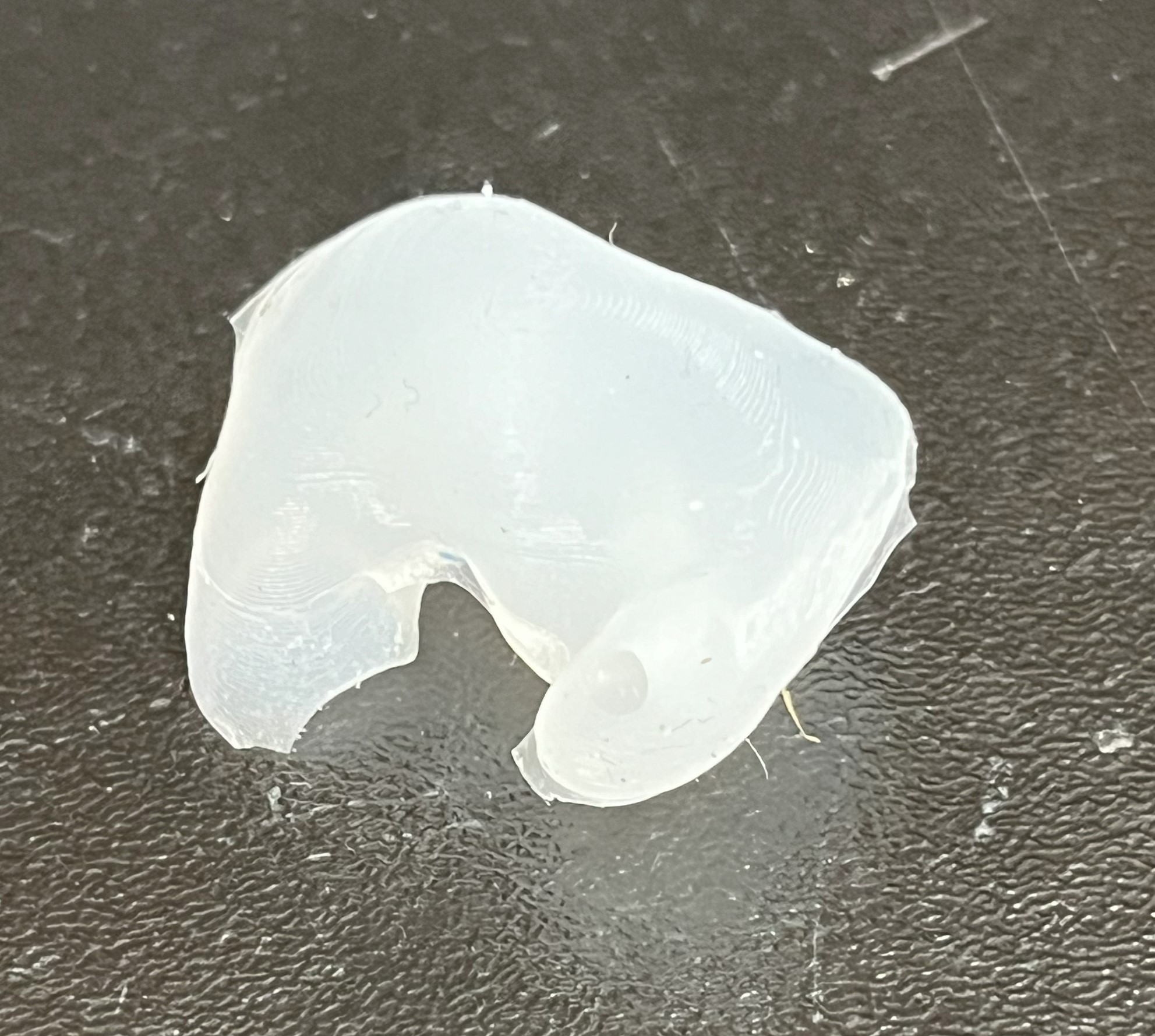 Image of a white silicone earmold.