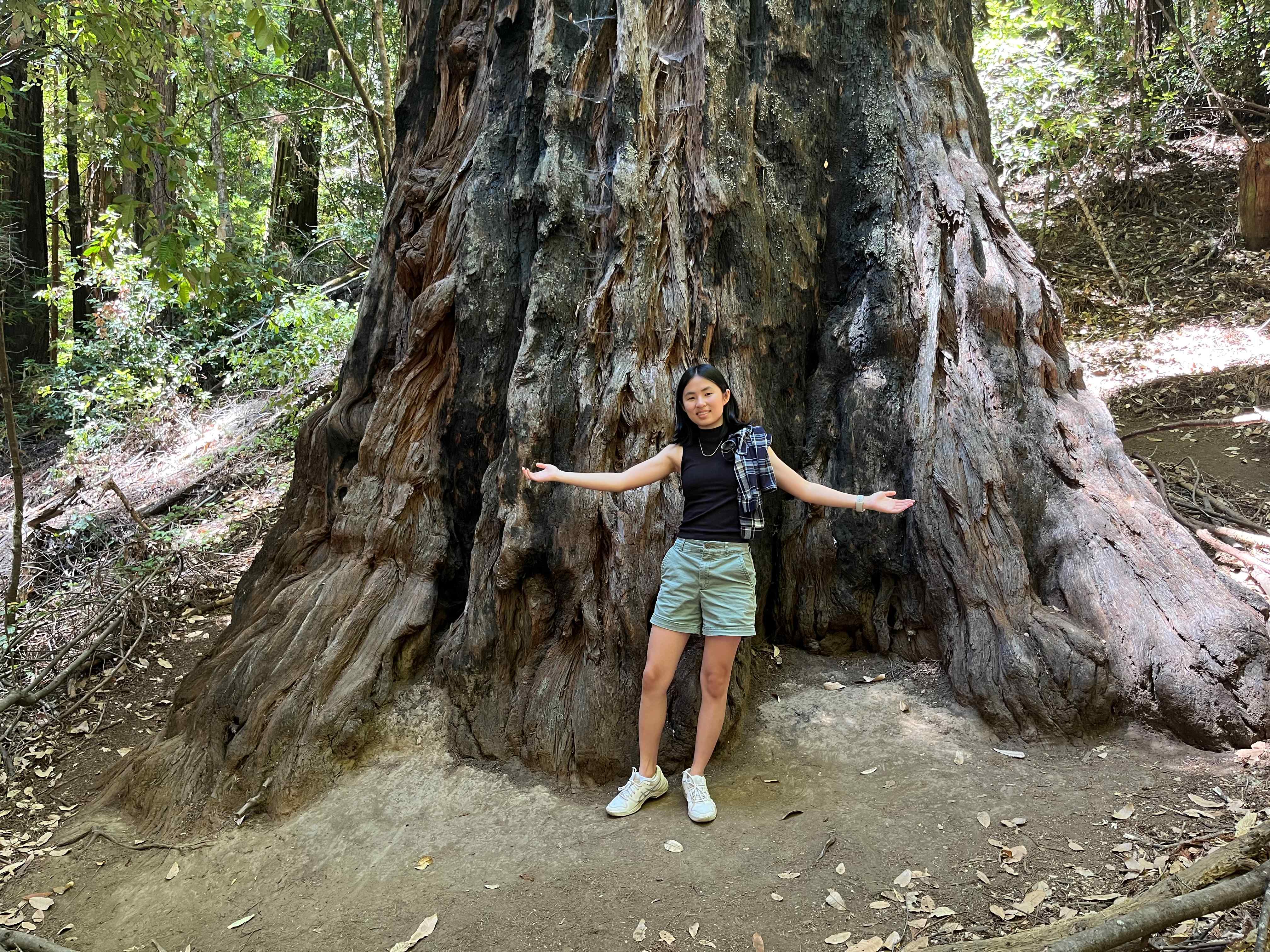 Me spreading arms before large tree trunk.