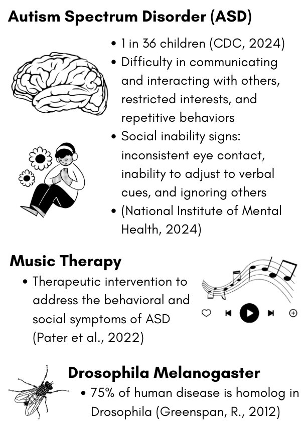 Background Infographic