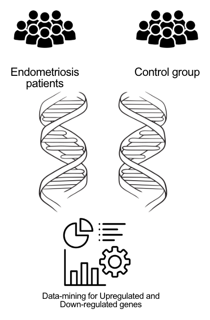 Graphical Abstract