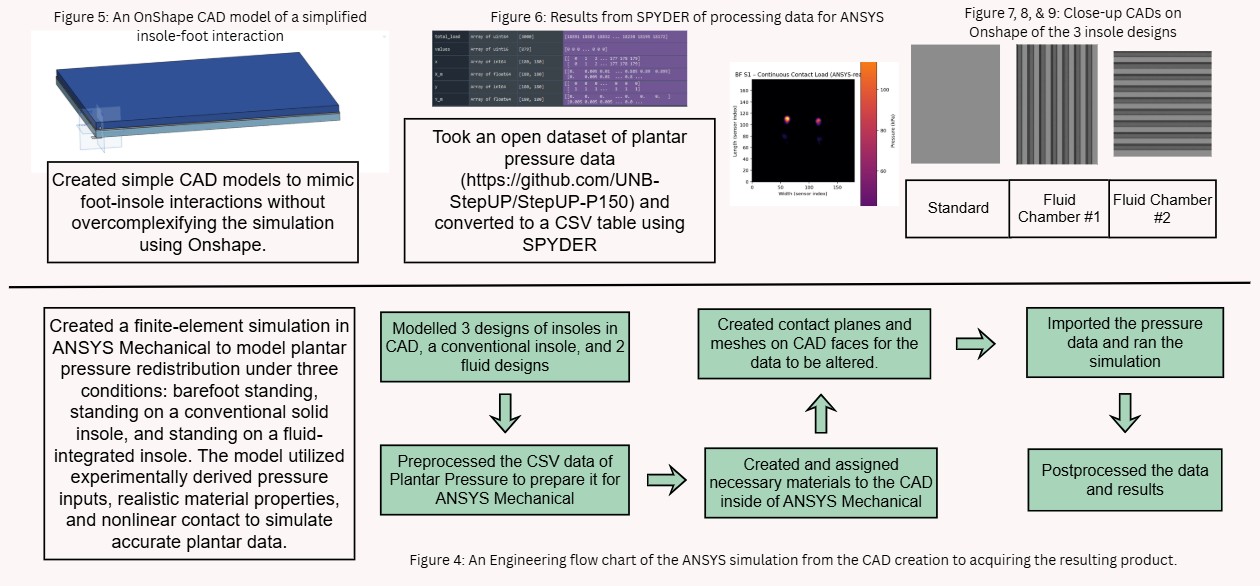 Procedure Infographic