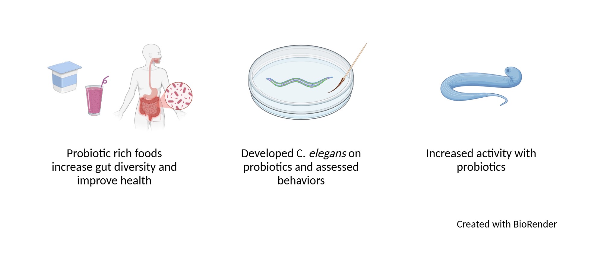 Graphical Abstract