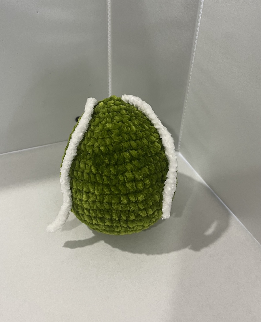 C Reinhardtti Crochet