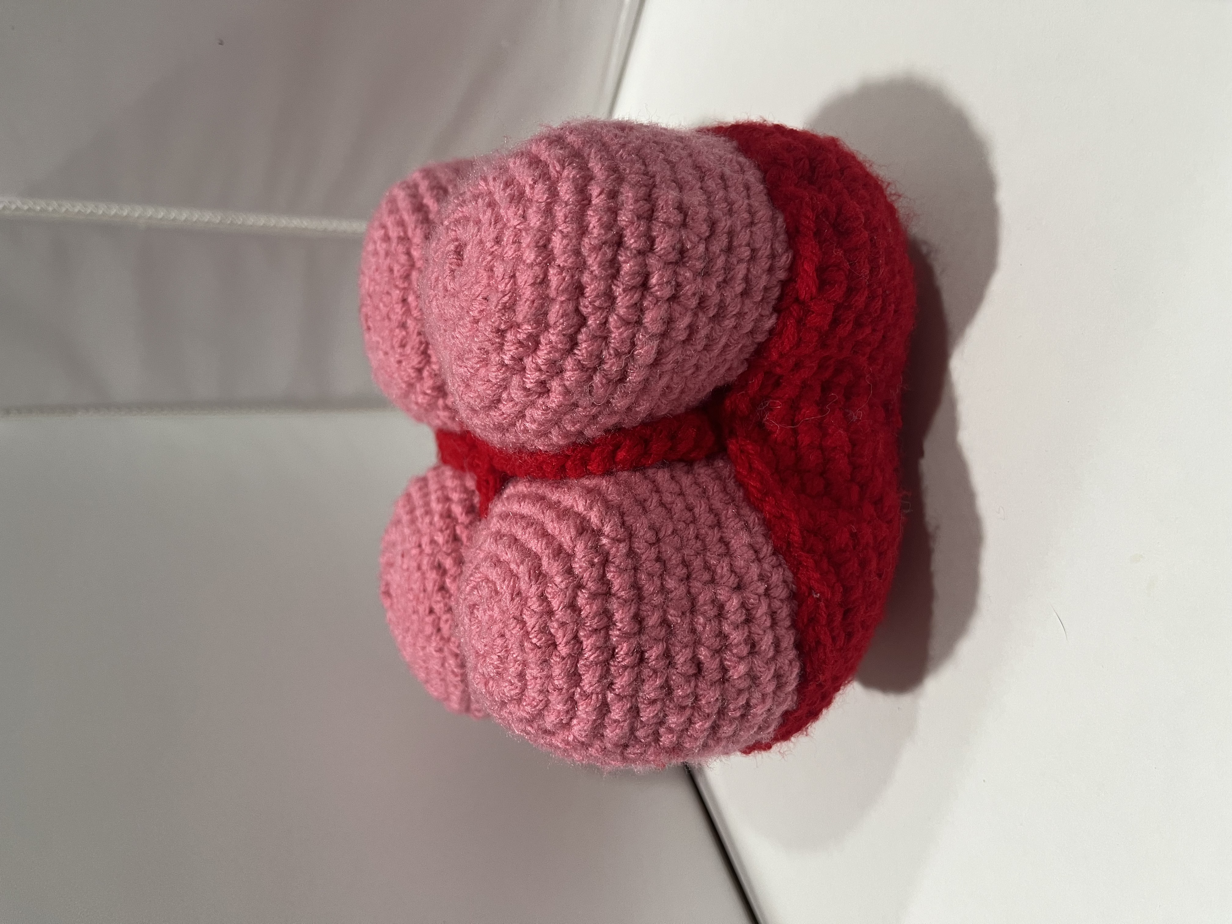 Deinococcus radiodurans Crochet