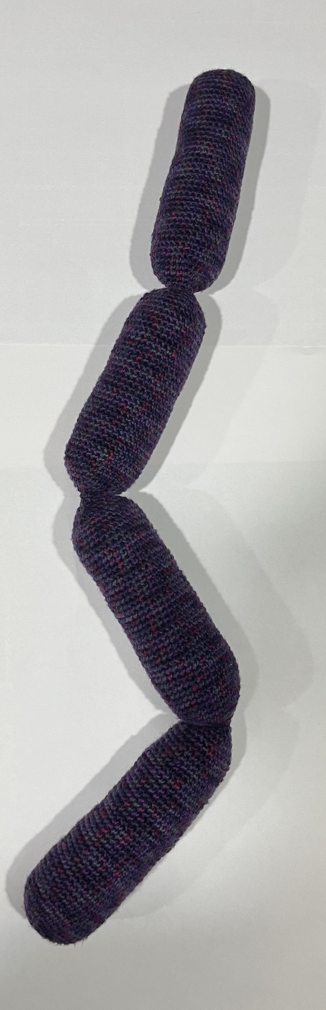 Moniliformis Crochet