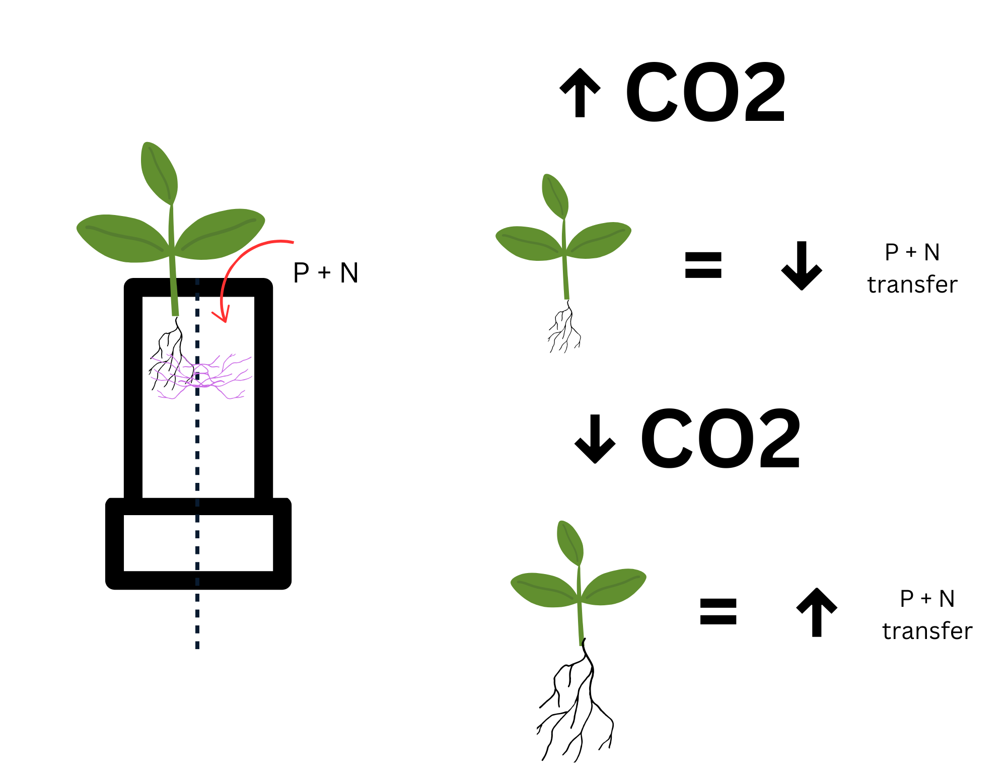 Image of Graphical Abstract