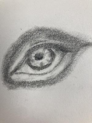 Eye