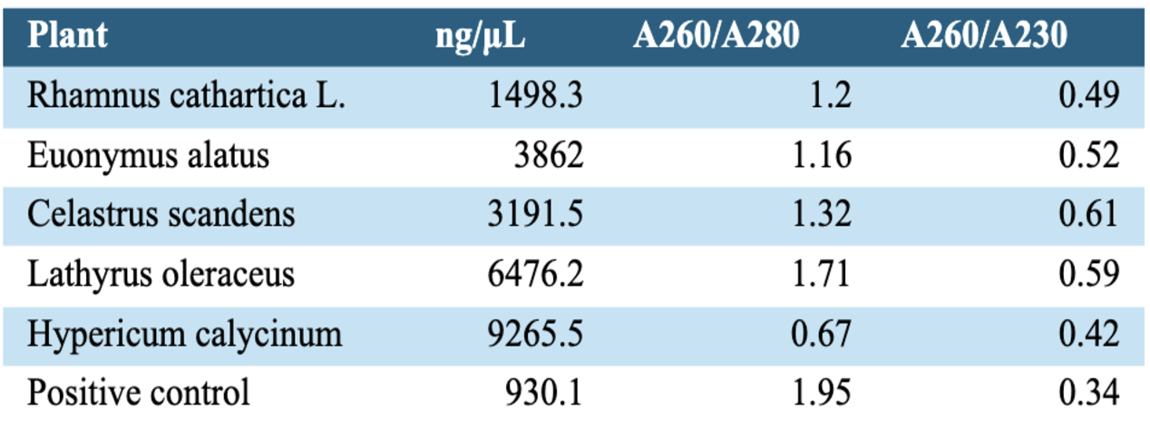 RNA Isolation Data