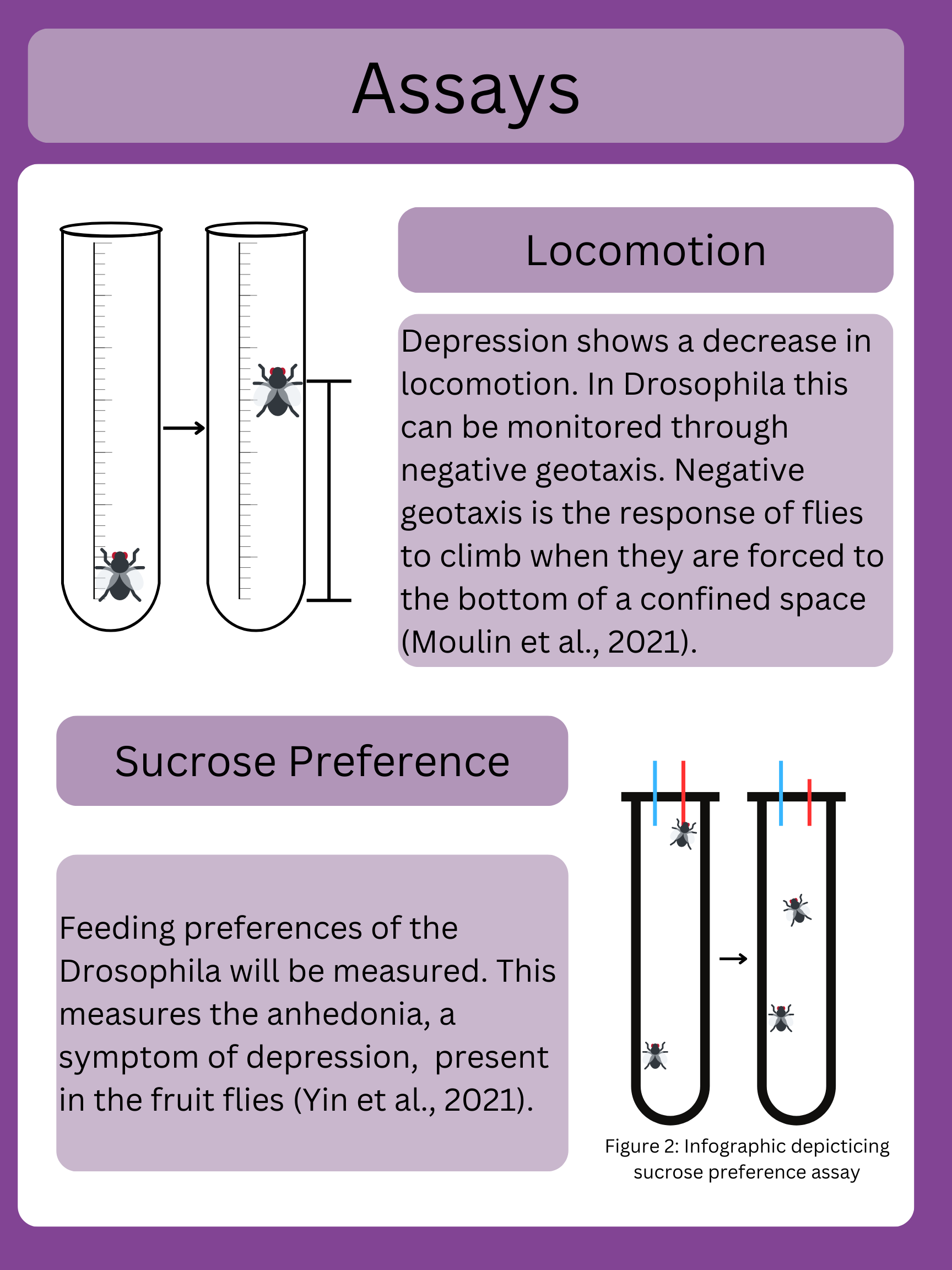 process infographic