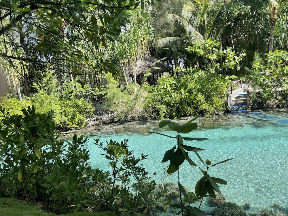 An artificial reef nursery in Bora Bora.