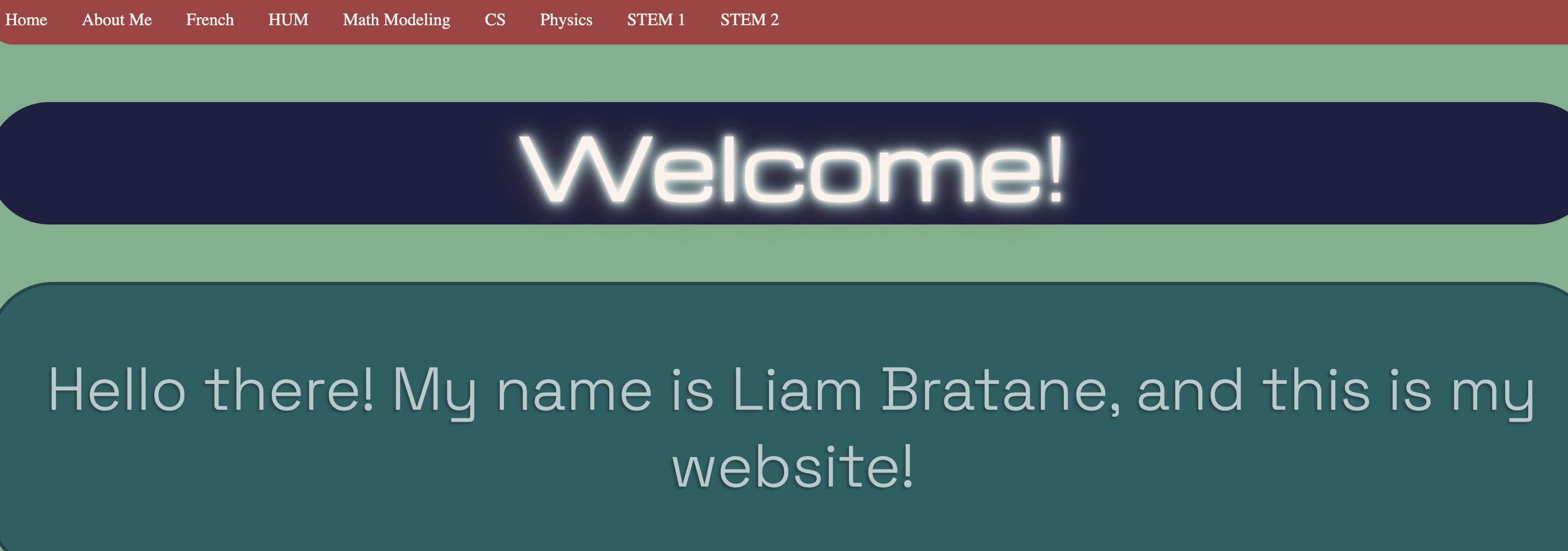 Early picture of my website
