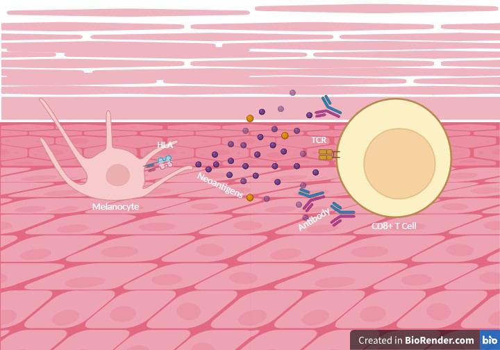 Project Graphical Abstract