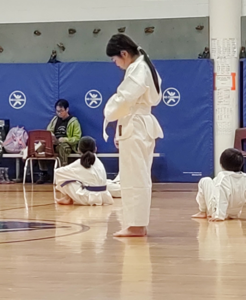 Taekwondo